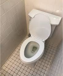 I am happy to assist you with your question. Replaced A Toilet Today Homeowners