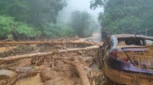 Summary of the geology of gunung jerai gunung jerai is a mountainous region located in central the highest point of gunung jerai is recorded to be 1217 meters and gunung jerai covers a total. Perrxdi58a90lm