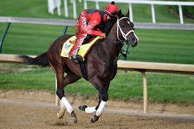 Image result for kentucky Derby