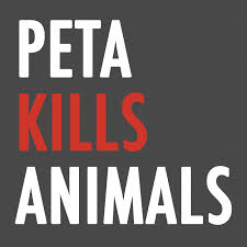This year, 88% of dogs and cats under the group's care were poisoned and disposed of. Peta Kills Animals Peta Kills Twitter