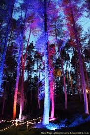 Pin On Outdoor Event Lighting Hire