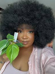 House Plant Lovers Addicts 🌲🌿