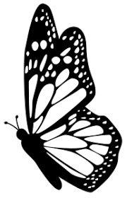 999 Butterfly Clipart Black And White Free Download Cloud Clipart Butterfly Stencil Butterfly Clip Art Butterfly Drawing