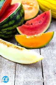 10 Astuces Pour Faire Pousser De Beaux Melons Graine De Melon Melon Fruits Et Legumes