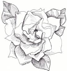Hand Drawn Gardenia How To Draw Hands Poppy Flower Drawing Story Tattoo