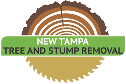 Maybe you would like to learn more about one of these? Home New Tampa Tree And Stump Removal