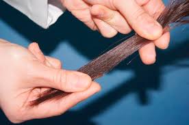 Image result for Hair Pull Test