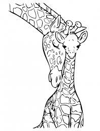 Simple giraffes coloring page to print and color for free. Cute Realistic Giraffe Coloring Pages Novocom Top