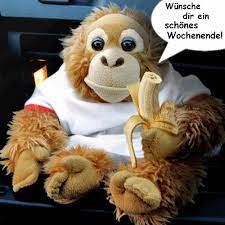 Lustige fälle bei der arbeit aus der ganzen welt. Dreamies De Vtkom02helb Gif Lustige Affen Gif Bilder Lustig Guten Morgen Bilder Tiere