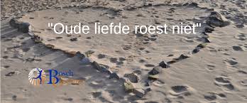 Oude Liefde Roest Niet Bosch Coaching