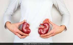 kidney detox cleanse your kidneys