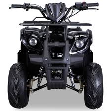 How fast is 125cc atv. Quadfactory Bottrop 125cc Toronto Midi Quad Automatik Rg 3xbremse