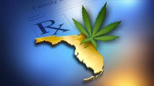 Register online with a licensed mmj telemedicine provider and speak with a licensed physician Florida Medical Marijuana Program Lawsuits Archives Florida Medical Marijuana Services