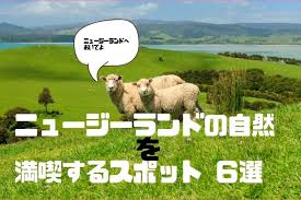 オンラインショップ、 amazon、tsutaya records（※一部店舗除く）/tsutaya オンライン ※上限数に達し次第、販売終了となります。 11æœˆã‹ã‚‰ãŒãƒ™ã‚¹ãƒˆã‚·ãƒ¼ã‚ºãƒ³ ãƒ‹ãƒ¥ãƒ¼ã‚¸ãƒ¼ãƒ©ãƒ³ãƒ‰ã®è‡ªç„¶ã‚'æº€å–«ã§ãã‚‹ã‚¹ãƒãƒƒãƒˆ6é¸ ãƒˆãƒ©ãƒ™ãƒ«ã‚¹ã‚¿ãƒ³ãƒ€ãƒ¼ãƒ‰ã‚¸ãƒ£ãƒ'ãƒ³
