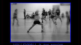 Image result for what do volleyball players wear under their spandex