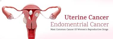 The risk factors for cervical cancer include: Bleeding After Menopause Could Be Endometrial Cancer Health Vision