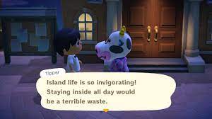 As a whole, the birds are largely ranked based on their appearance, though jacques has a cool diner house while lucha has a literal wrestling ring. Tipper Didn T Get The Memo Animalcrossing