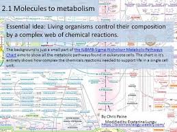 Topic 2 Molecular Biology 2 1 2 4 The Background Is Just