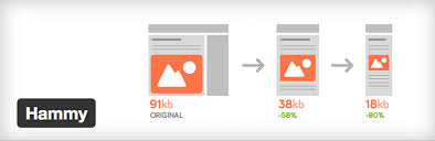 Pin On Image Optimization