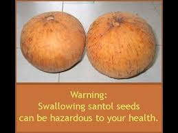 The consumption of ripe rambutan in pregnancy. Huwag Lumulon Ng Buto Ng Santol Payo Ni Doc Willie Ong 528 Youtube