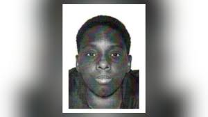 Man pleads guilty in machete attack