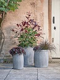 Maybe you would like to learn more about one of these? 34 Tall Garden Troughs To Tickle Your Creative Bone In 2021 Zinc Planters Large Outdoor Planters Plant Pots Uk