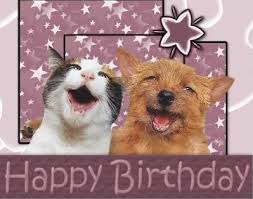 Cat Dog Birthday Dog Ideas Happy birthday to my best friend who loves me more than he loves himself. cat dog birthday dog ideas