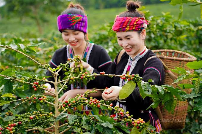 Du lịch Hướng Phùng – Vẻ đẹp nguyên sơ giữa đại ngàn Trường Sơn - Quảng  Bình Travel - Tour Quảng Bình chuyên nghiệp