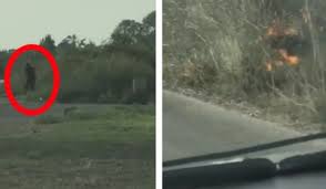 Συνελήφθη σήμερα, στο πλαίσιο της αυτόφωρης διαδικασίας, από υπαλλήλους της διεύθυνσης αντιμετώπισης εγκλημάτων εμπρησμού, 21χρονος ως υπαίτιος πρόκλησης πυρκαγιάς σε δασική έκταση στη θέση κόρμπι στη βάρη αττικής. Kategrapse Me Kamera Ton Emprhsmo Sygklonistikes Eikones Kai Mia Syllhpsh Sthn Amaliada Video