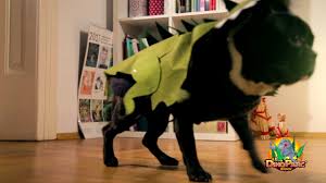 Cel mai mare muzeu tehnic în aer liber din europa şi singurul din românia este muzeul de. Dino Parc RaÈnov Cel Mai Mare Muzeu In Aer Liber Youtube