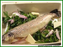 Truites Au Vin Blanc Au Four Quand Choupette Et Papoune Cuisinent Truite Au Four Cuisine Poisson Truite