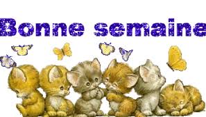 Résultat de recherche d'images pour "chats bonne semaine"