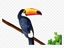 And many more similar colorings under the heading «» on the site «coloring pages for you». Toucan V 0 4 94 8 Kbytes Toucan Coloring Page Easy Hd Png Download Vhv