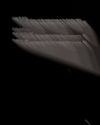 Actes de la VIIIe Conférence internationale des études nubiennes :