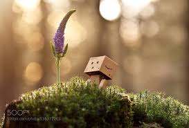 Check spelling or type a new query. Danbo The Flower Of Life Flower Of Life Danbo Flowers