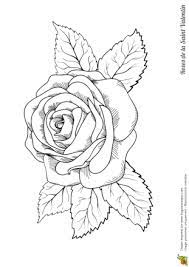 coloriage grande rose saint valentin dessin licorne a4
