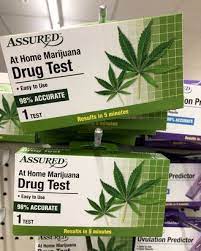Weird Things At The Dollar Store Cheapism Com