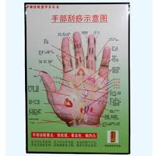 G 06a1 Acupuncture Hand Chart Acubest