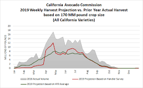 Current Crop Estimates California Avocado Commission