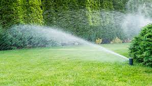 Established lawns with deep, extensive root systems sometimes can be watered less often. All Things Irrigation Irrigation Systems Sod Solutions