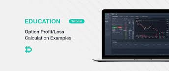 How to calculate account profit. Option Profit Loss Calculation Examples Deribit Insights