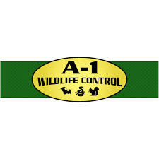 I can say that his services are worth every. Wildlife Removal And Prevention Specialist A 1 Wildlife Control