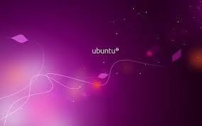 Purple Purple Wallpaper Hd Purple Wallpaper Background Hd Wallpaper