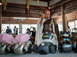 Maybe you would like to learn more about one of these? In Japan Old Robot Dogs Get A Buddhist Send Off The Two Way Npr