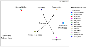 Image result for Riocreuxia