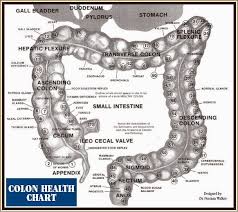 Institute Of Cellular Wellness Cell Salt Deficiency The