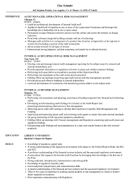 Audit Risk Management Resume Samples Velvet Jobs