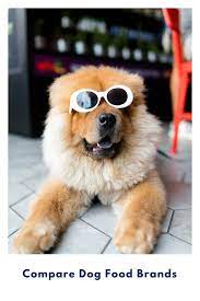 Check spelling or type a new query. Compare Blue Buffalo Dog Food To Life S Abundance Dog Food Life S Abundance Dog And Cat Food Healthy Products For You