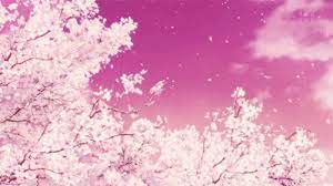 Cherry wallpapers for 4k, 1080p hd and 720p hd resolutions and are best suited for desktops, android phones, tablets, ps4 wallpapers. Cherry Blossom Flower Wallpaper Gif