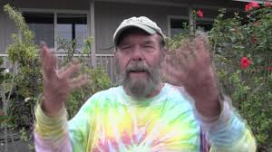 I have two sharpe blue, one emerald, and one jewel plant. Blueberries In Hawaii Youtube
